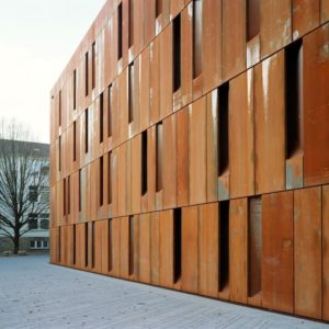 amazon corten